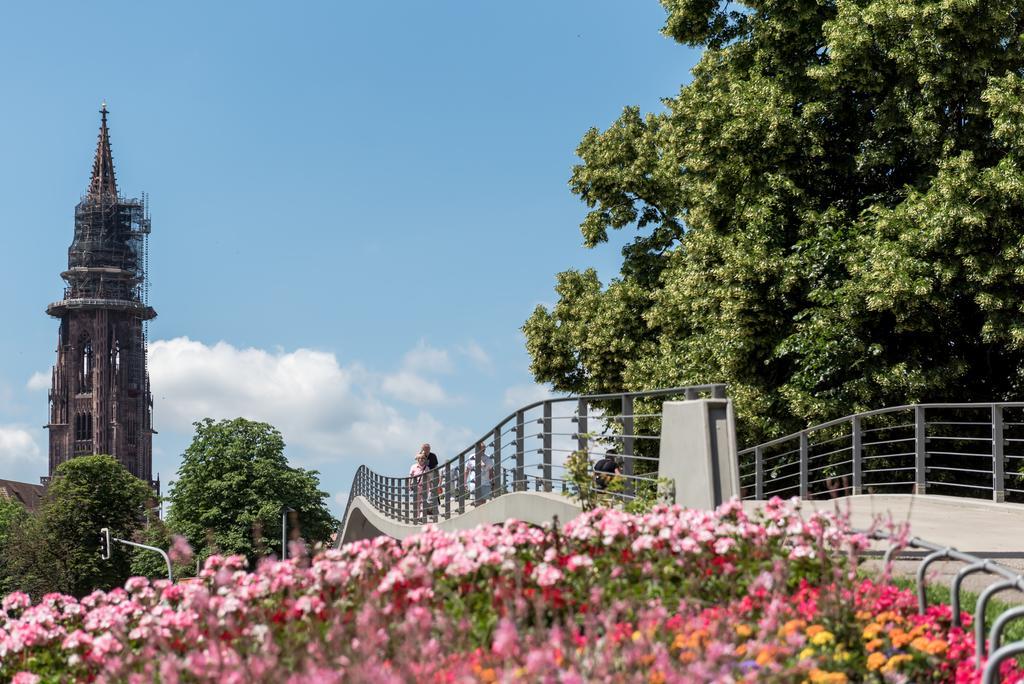 Boutique Apartments Am Stadtgarten Φράιμπουργκ Εξωτερικό φωτογραφία